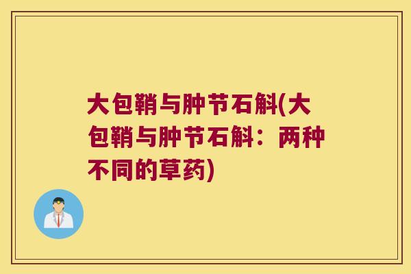 大包鞘与肿节石斛(大包鞘与肿节石斛：两种不同的草药)