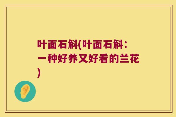 叶面石斛(叶面石斛：一种好养又好看的兰花)