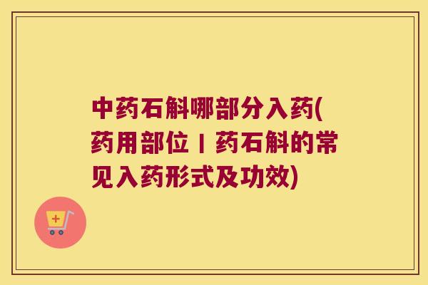 石斛哪部分入药(药用部位丨药石斛的常见入药形式及功效)