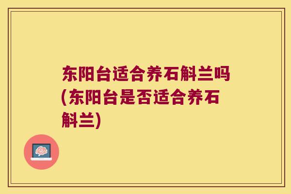 东阳台适合养石斛兰吗(东阳台是否适合养石斛兰)