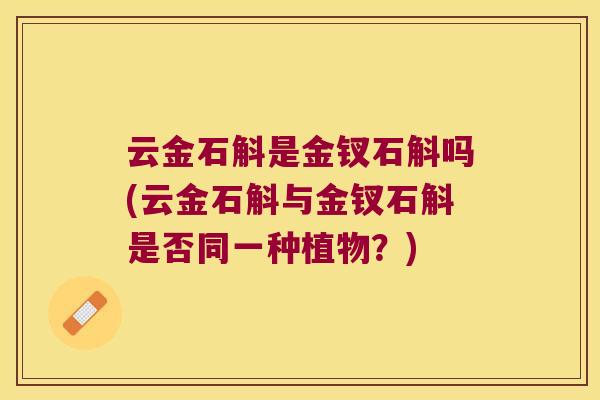 云金石斛是金钗石斛吗(云金石斛与金钗石斛是否同一种植物？)
