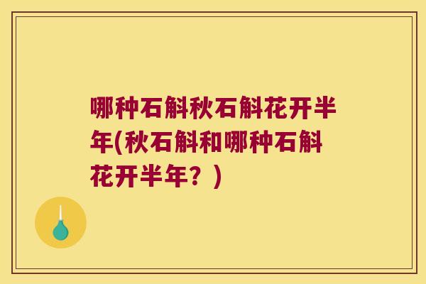 哪种石斛秋石斛花开半年(秋石斛和哪种石斛花开半年？)