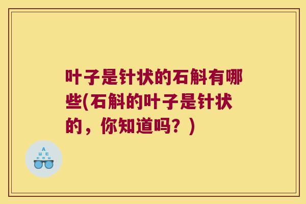 叶子是针状的石斛有哪些(石斛的叶子是针状的，你知道吗？)