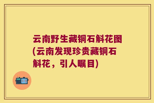 云南野生藏铜石斛花图(云南发现珍贵藏铜石斛花，引人瞩目)