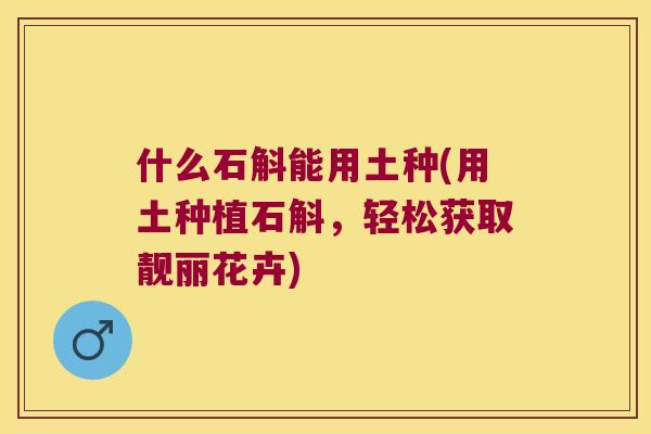什么石斛能用土种(用土种植石斛,轻松获取靓丽花卉) 什么石斛能用土种(用土种植石斛,轻松获取靓丽花卉)