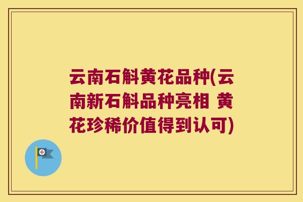 云南石斛黄花品种(云南新石斛品种亮相 黄花珍稀价值得到认可)