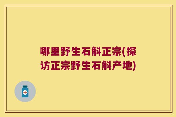 哪里野生石斛正宗(探访正宗野生石斛产地)