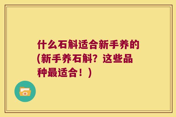 什么石斛适合新手养的(新手养石斛？这些品种最适合！)