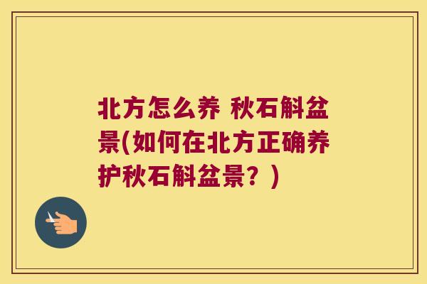 北方怎么养 秋石斛盆景(如何在北方正确养护秋石斛盆景？)