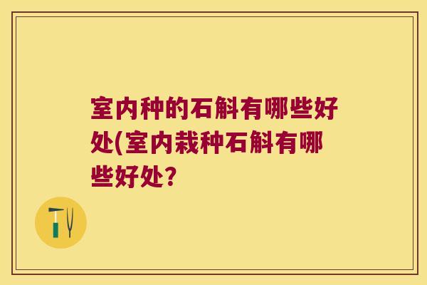 室内种的石斛有哪些好处(室内栽种石斛有哪些好处？