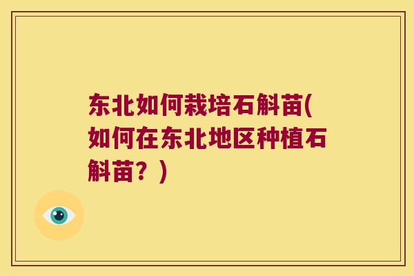 东北如何栽培石斛苗(如何在东北地区种植石斛苗？)