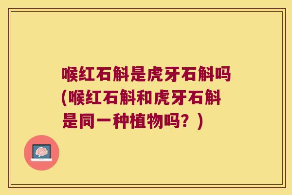 喉红石斛是虎牙石斛吗(喉红石斛和虎牙石斛是同一种植物吗？)