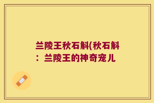 兰陵王秋石斛(秋石斛：兰陵王的神奇宠儿