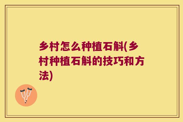 乡村怎么种植石斛(乡村种植石斛的技巧和方法)