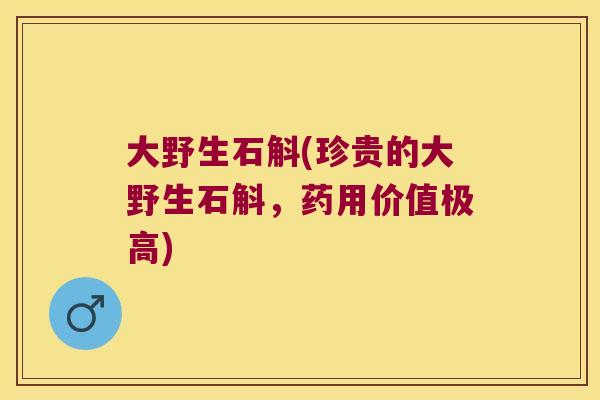 大野生石斛(珍贵的大野生石斛，药用价值极高)