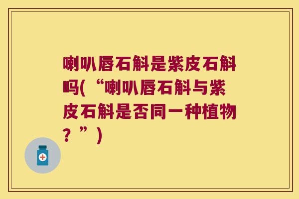 喇叭唇石斛是紫皮石斛吗(“喇叭唇石斛与紫皮石斛是否同一种植物？”)