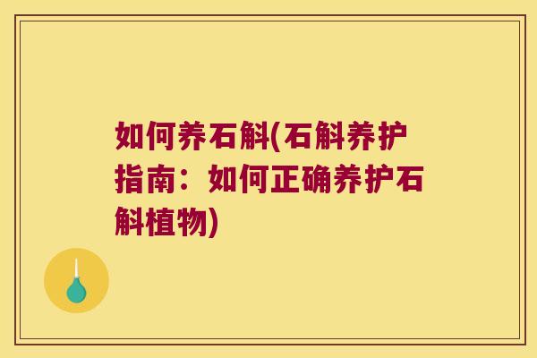 如何养石斛(石斛养护指南:如何正确养护石斛植物) 如何养石斛(石斛养护指南:如何正确养护石斛植物)