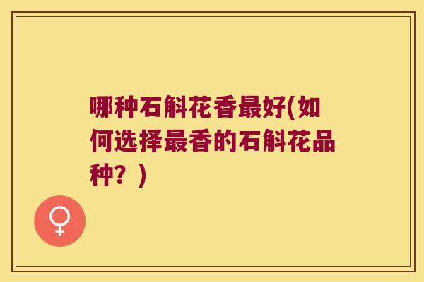 哪种石斛花香最好(如何选择最香的石斛花品种？)
