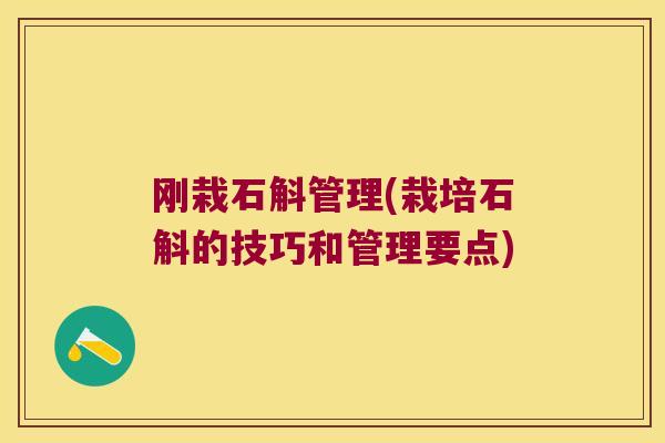 刚栽石斛管理(栽培石斛的技巧和管理要点)