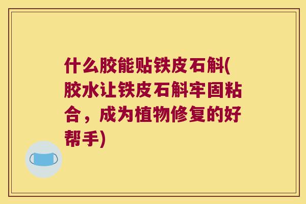 什么胶能贴铁皮石斛(胶水让铁皮石斛牢固粘合，成为植物修复的好帮手)