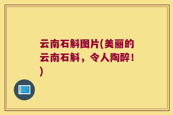 云南石斛图片(美丽的云南石斛，令人陶醉！)