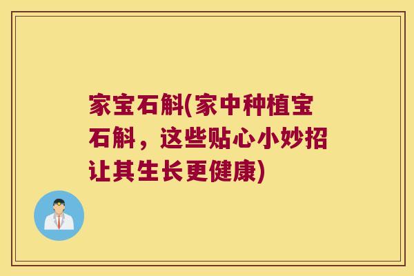 家宝石斛(家中种植宝石斛，这些贴心小妙招让其生长更健康)