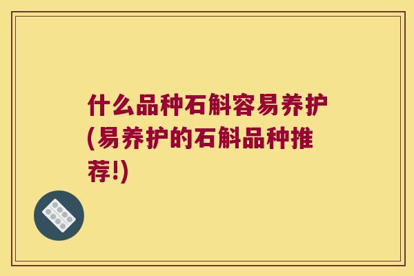 什么品种石斛容易养护(易养护的石斛品种推荐!)
