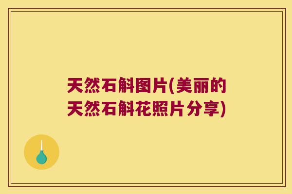 天然石斛图片(美丽的天然石斛花照片分享)
