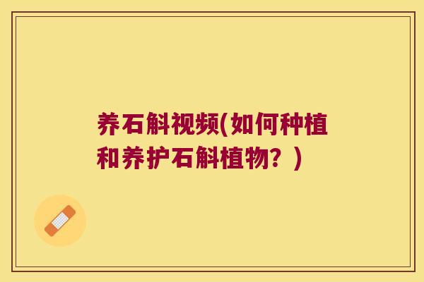 养石斛视频(如何种植和养护石斛植物？)