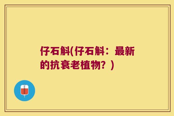 仔石斛(仔石斛：最新的抗衰老植物？)