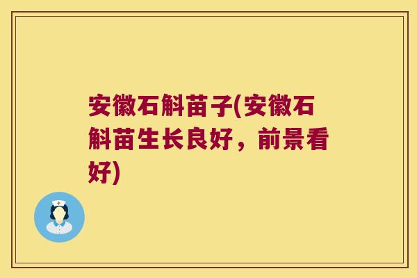 安徽石斛苗子(安徽石斛苗生长良好，前景看好)