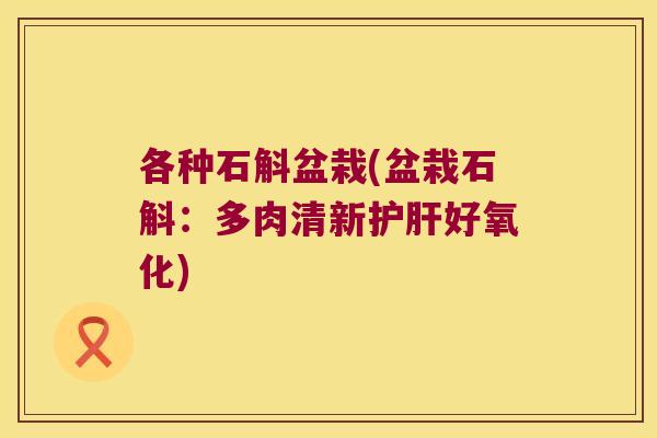 各种石斛盆栽(盆栽石斛：多肉清新护肝好氧化)