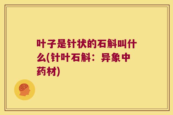 叶子是针状的石斛叫什么(针叶石斛:异象材) 叶子是针状的石斛叫什么(针叶石斛:异象材)