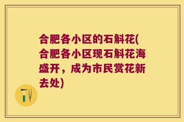 合肥各小区的石斛花(合肥各小区现石斛花海盛开，成为市民赏花新去处)