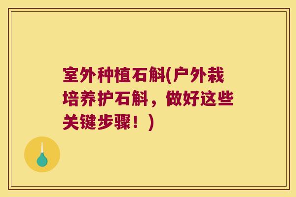 室外种植石斛(户外栽培养护石斛，做好这些关键步骤！)