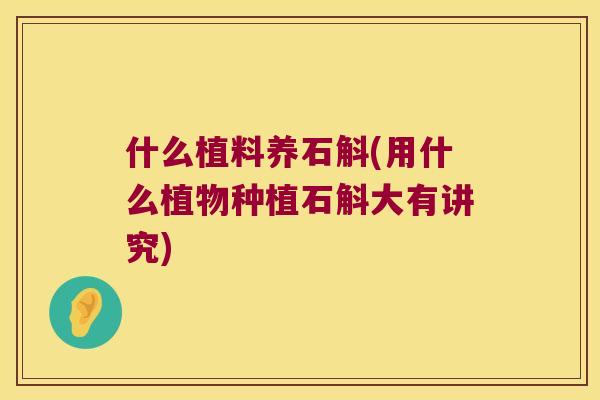 什么植料养石斛(用什么植物种植石斛大有讲究)
