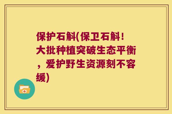 保护石斛(保卫石斛！大批种植突破生态平衡，爱护野生资源刻不容缓)