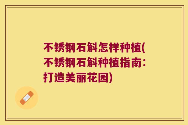 不锈钢石斛怎样种植(不锈钢石斛种植指南：打造美丽花园)