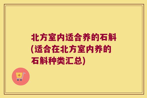 北方室内适合养的石斛(适合在北方室内养的石斛种类汇总) 北方室内适合养的石斛(适合在北方室内养的石斛种类汇总)