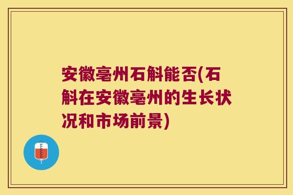 安徽亳州石斛能否(石斛在安徽亳州的生长状况和市场前景)