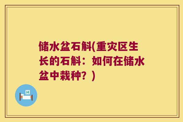 储水盆石斛(重灾区生长的石斛：如何在储水盆中栽种？)