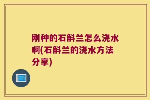 刚种的石斛兰怎么浇水啊(石斛兰的浇水方法分享)