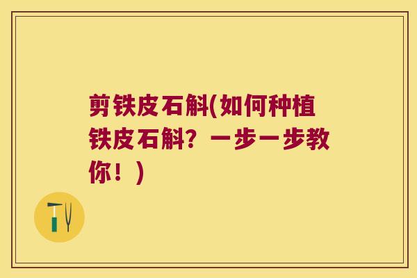 剪铁皮石斛(如何种植铁皮石斛?一步一步教你!) 剪铁皮石斛(如何种植铁皮石斛?一步一步教你!)