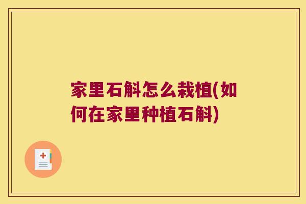 家里石斛怎么栽植(如何在家里种植石斛)