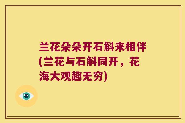 兰花朵朵开石斛来相伴(兰花与石斛同开，花海大观趣无穷)