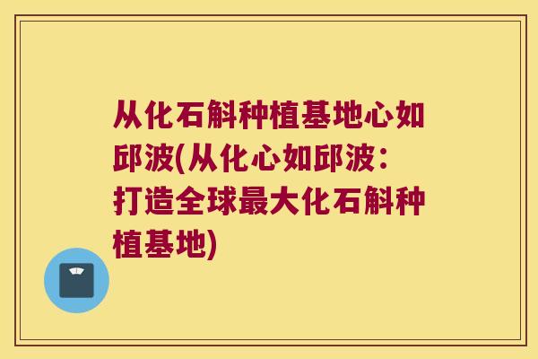 从化石斛种植基地心如邱波(从化心如邱波：打造全球最大化石斛种植基地)
