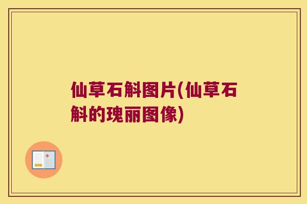 仙草石斛图片(仙草石斛的瑰丽图像)