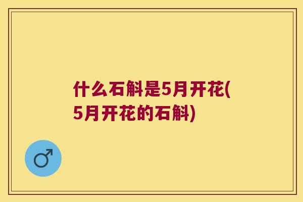 什么石斛是5月开花(5月开花的石斛) 什么石斛是5月开花(5月开花的石斛)