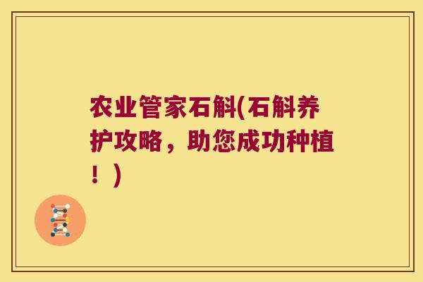 农业管家石斛(石斛养护攻略，助您成功种植！)