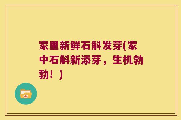 家里新鲜石斛发芽(家中石斛新添芽，生机勃勃！)